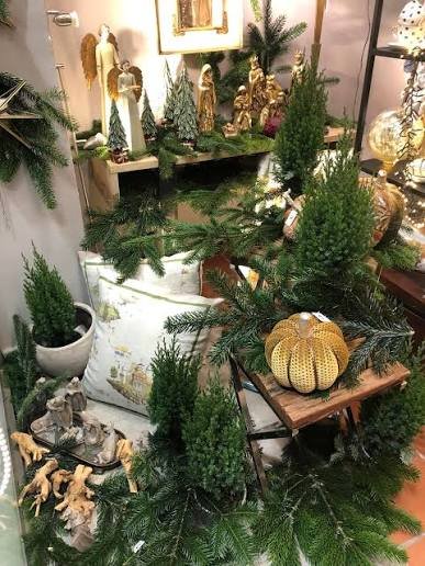 https://www.tp24.it/immagini_articoli/14-08-2026/1786736003-0-marsala-chiude-dopo-46-anni-lo-storico-negozio-ikebana.jpg
