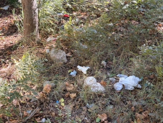 https://www.tp24.it/immagini_articoli/14-10-2026/trapani-boschetto-di-via-salemi-i-mastelli-sono-vuoti-e-i-rifiuti-a-terra-250.jpg
