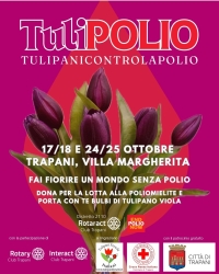 https://www.tp24.it/immagini_articoli/14-10-2026/trapani-tulipani-viola-per-sconfiggere-la-polio-alla-villa-margherita-250.jpg