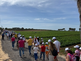 https://www.tp24.it/immagini_articoli/15-06-2026/a-marsala-in-centinaia-partecipano-alla-passeggiata-della-salute-250.jpg