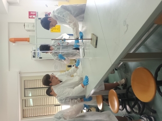https://www.tp24.it/immagini_articoli/15-06-2026/al-via-al-liceo-di-mazara-il-modulo-lab-scienze-la-scuola-non-si-ferma-con-il-piano-estate-250.jpg