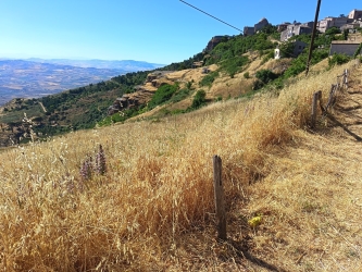 https://www.tp24.it/immagini_articoli/15-06-2026/erice-maltese-replica-a-genco-nelle-aree-comunali-mancano-i-viali-parafuoco-250.jpg