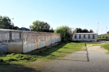 https://www.tp24.it/immagini_articoli/15-06-2026/fiamme-alla-sarco-paura-per-il-canile-37-cani-messi-in-salvo-grazie-ai-volontari-250.jpg