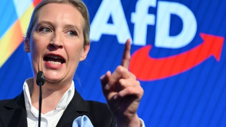 https://www.tp24.it/immagini_articoli/15-09-2026/elezioni-in-germania-tutte-le-contraddizioni-del-fenomeno-afd-250.jpg