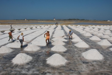 https://www.tp24.it/immagini_articoli/15-09-2026/il-sale-di-trapani-e-marsala-verso-il-riconoscimento-come-prodotto-agricolo-250.jpg