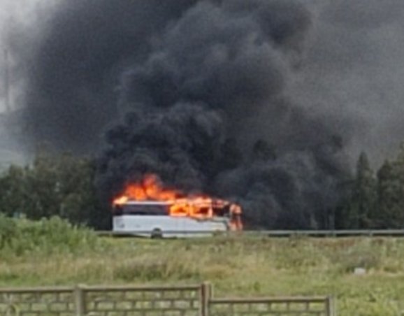 https://www.tp24.it/immagini_articoli/16-04-2026/1776366617-0-autobus-in-fiamme-tra-gibellina-e-salemi.jpg