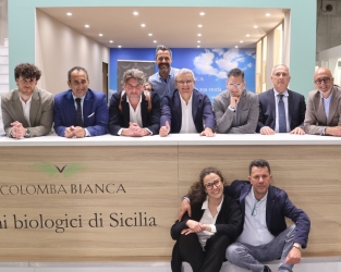 https://www.tp24.it/immagini_articoli/16-04-2026/il-vinitaly-2026-di-colomba-bianca-tra-crescita-qualita-e-identita-250.jpg