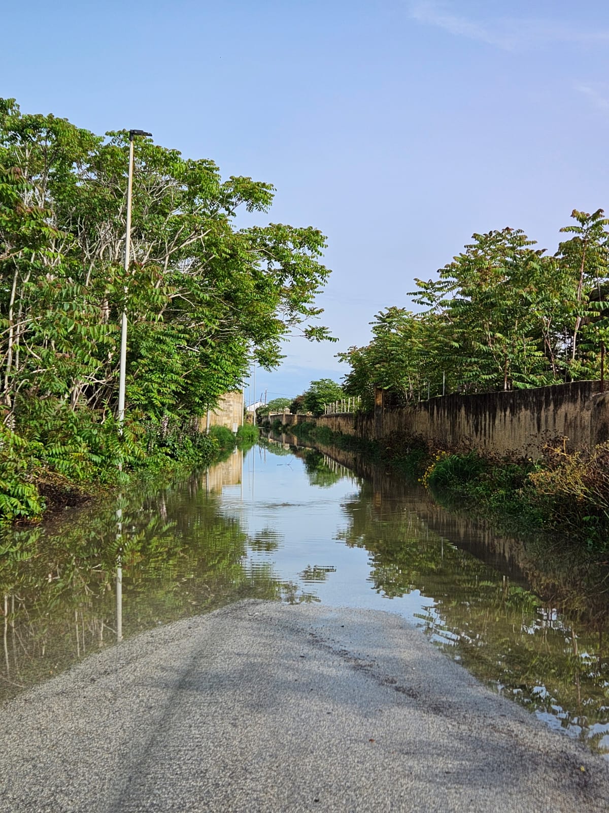 https://www.tp24.it/immagini_articoli/16-05-2025/1747397240-0-marsala-via-vecchia-mazara-ancora-allagata-la-soluzione-non-puo-essere-una-transenna.jpg