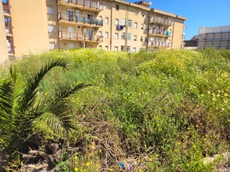 https://www.tp24.it/immagini_articoli/16-05-2026/ordinanza-antincendio-ad-alcamo-siamoalcamo-vigileremo-sul-rispetto-delle-regole-250.jpg
