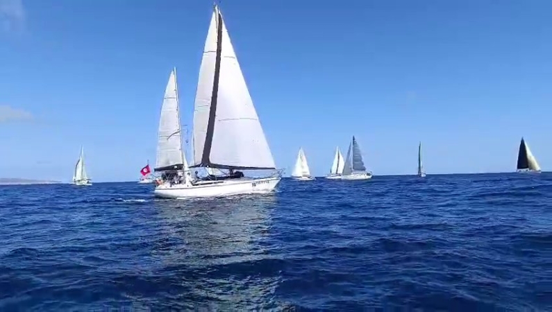 https://www.tp24.it/immagini_articoli/16-05-2026/vela-a-favignana-in-corso-il-memorial-sebastiano-tusa-battaglia-delle-egadi-450.jpg