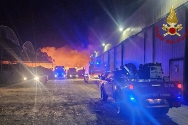 https://www.tp24.it/immagini_articoli/16-06-2026/incendio-sarco-l-asp-rassicura-i-37-cani-trasferiti-dal-canile-stanno-tutti-bene-250.jpg