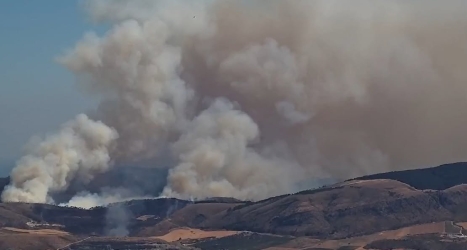 https://www.tp24.it/immagini_articoli/16-06-2026/montagna-grande-brucia-da-quattro-giorni-canadair-ancora-in-azione-almeno-600-ettari-distrutti-250.jpg
