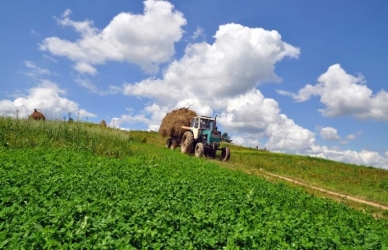 https://www.tp24.it/immagini_articoli/16-08-2026/agroalimentare-in-sicilia-rifondazione-dove-finiscono-i-fondi-del-pac-250.jpg