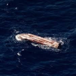 https://www.tp24.it/immagini_articoli/16-08-2026/ferragosto-di-morte-nel-mediterraneo-11-corpi-in-mare-e-un-altro-naufragio-senza-nome-250.jpg