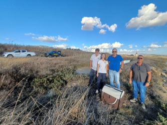 https://www.tp24.it/immagini_articoli/16-09-2026/da-pantelleria-alle-saline-di-trapani-giovane-fenicottero-salvato-e-rimesso-in-liberta-250.jpg