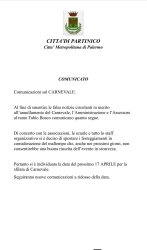 https://www.tp24.it/immagini_articoli/17-02-2026/carnevale-con-il-maltempo-partinico-rinvia-tutto-al-17-aprile-e-scoppiano-le-polemiche-250.jpg