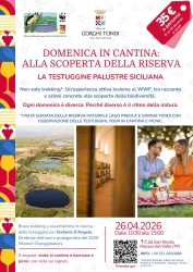 https://www.tp24.it/immagini_articoli/17-04-2026/tenuta-gorghi-tondi-e-wwf-italia-al-via-le-domeniche-in-cantina-nella-riserva-lago-preola-e-gorghi-tondi-250.jpg