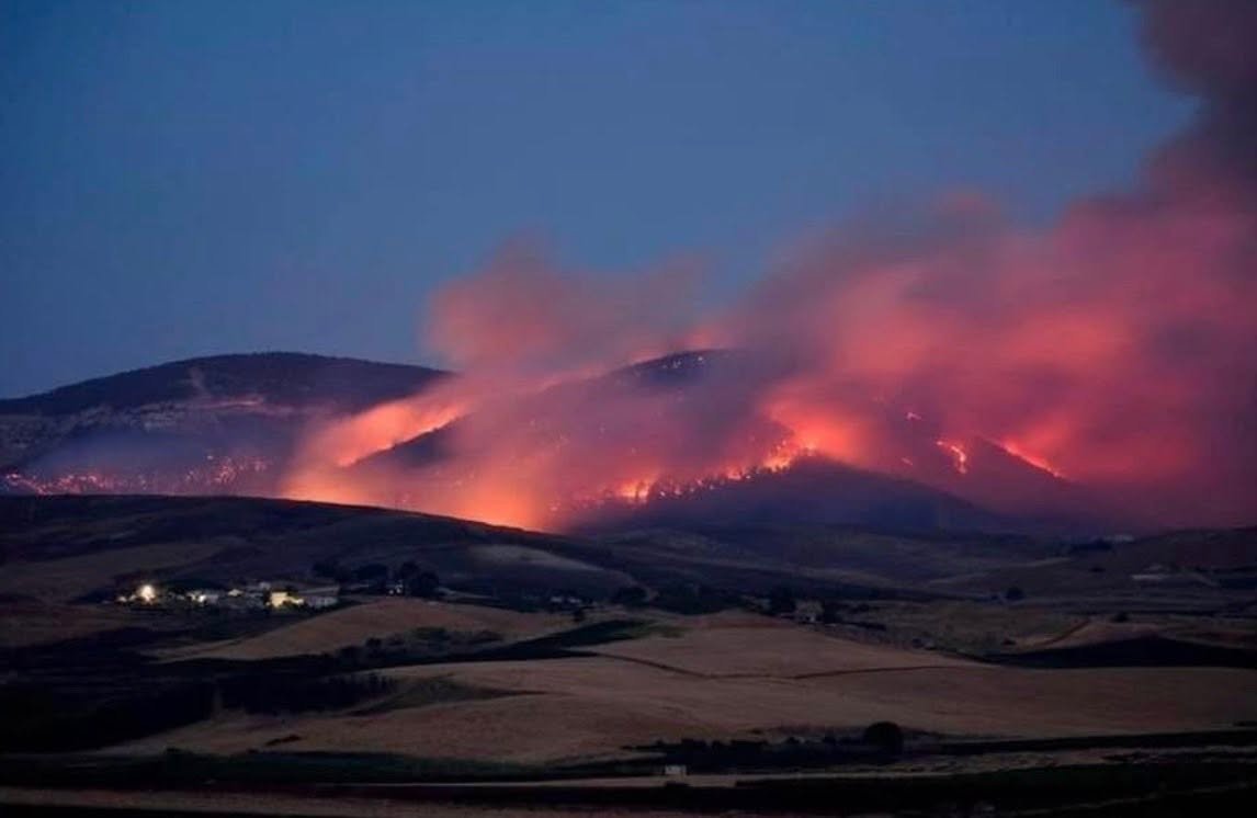 https://www.tp24.it/immagini_articoli/17-06-2026/1781691292-0-montagna-grande-sinistra-futura-boschi-abbandonati-regione-irresponsabile.jpg