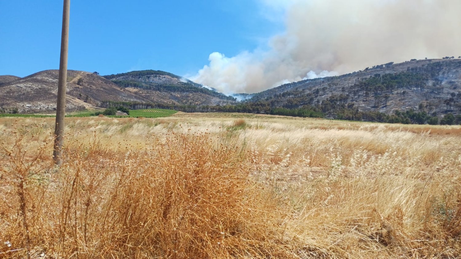 https://www.tp24.it/immagini_articoli/17-06-2026/1781701812-0-non-e-finita-montagna-grande-di-nuovo-in-fiamme.jpg