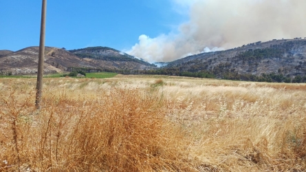 https://www.tp24.it/immagini_articoli/17-06-2026/non-e-finita-montagna-grande-di-nuovo-in-fiamme-250.jpg