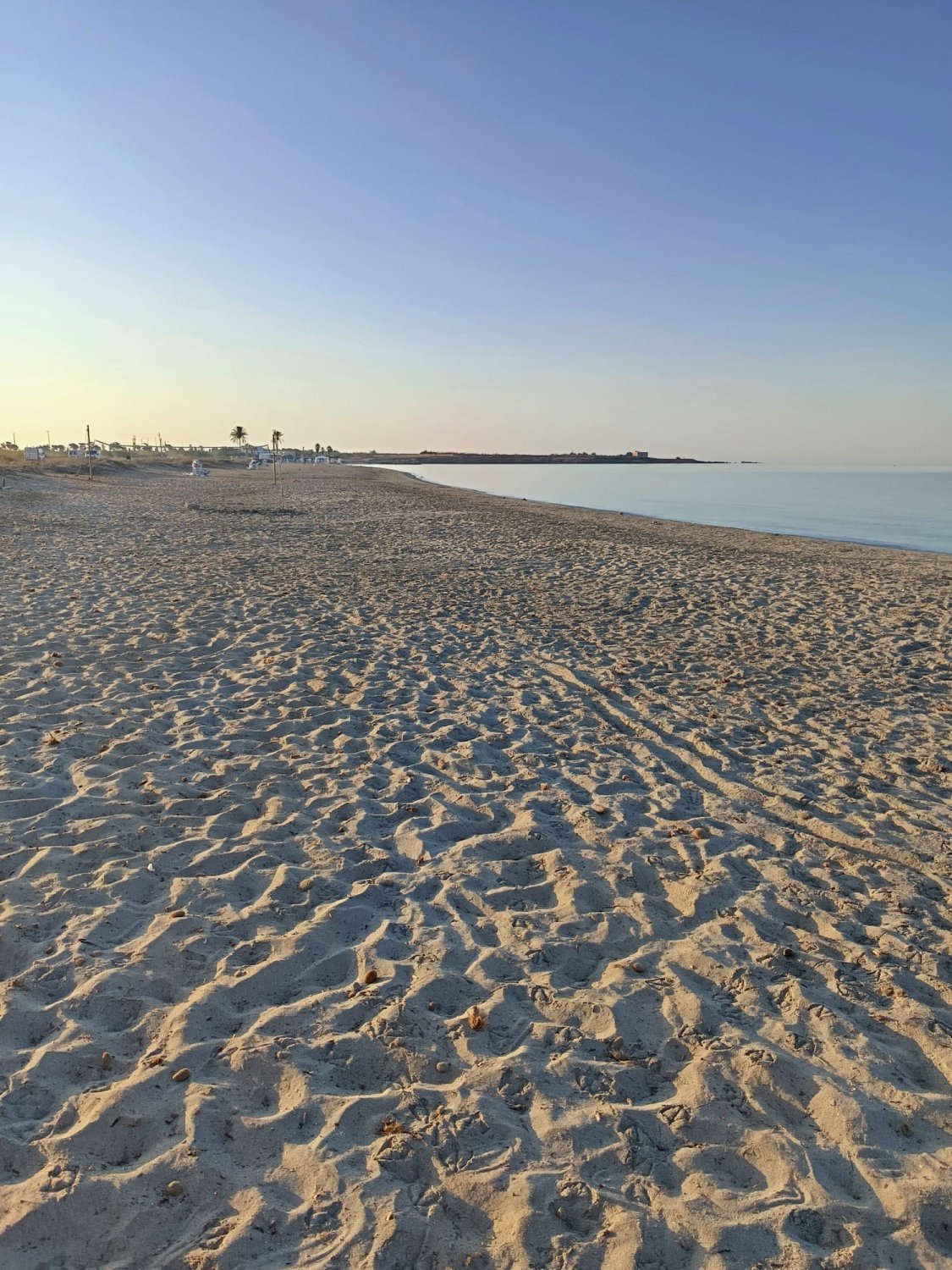 https://www.tp24.it/immagini_articoli/17-08-2026/1786962765-0-petrosino-il-comune-fa-il-bilancio-di-ferragosto-spiagge-pulite-e-ordinate.jpg