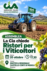 https://www.tp24.it/immagini_articoli/17-10-2026/viticoltura-ad-alcamo-assemblea-della-cia-sicilia-occientale-sui-ristori-250.jpg