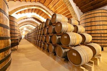 https://www.tp24.it/immagini_articoli/18-05-2026/marsala-domenica-24-maggio-visita-alle-cantine-florio-con-archeofficina-250.jpg