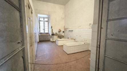 https://www.tp24.it/immagini_articoli/18-09-2026/nasce-su-tp24-storie-dal-manicomio-l-umanita-ritrovata-nell-esercizio-dell-inutile-250.jpg