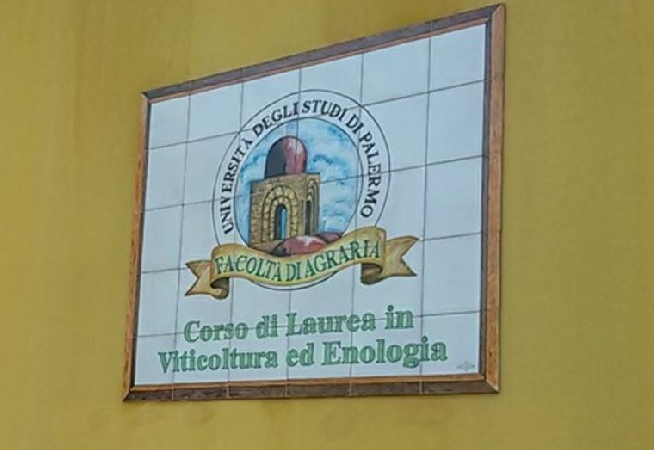 https://www.tp24.it/immagini_articoli/18-11-2025/1763488953-0-altro-che-ritorno-a-marsala-la-facolta-di-enologia-da-trapani-fa-le-valigie-per-palermo.jpg