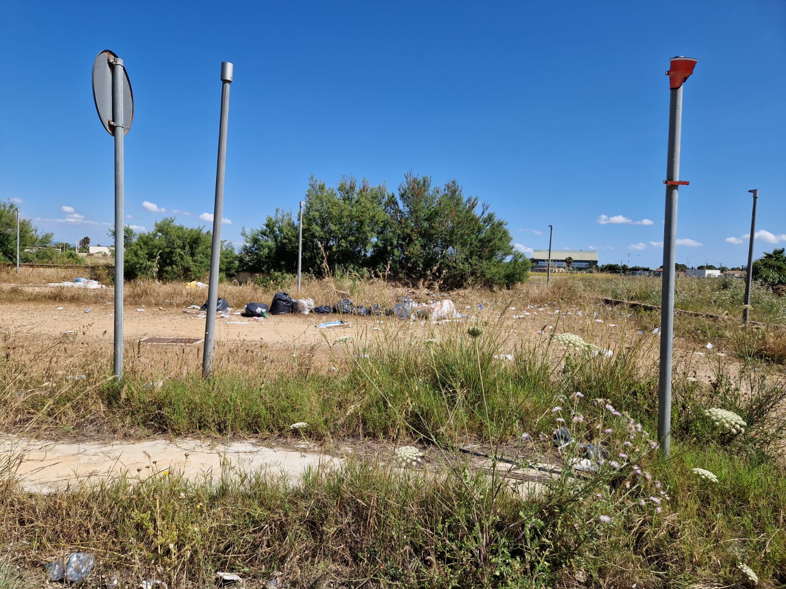https://www.tp24.it/immagini_articoli/19-05-2025/1747661357-0-marsala-birgi-sottano-e-una-discarica-a-cielo-aperto-basta-abbandono-e-incuria.jpg