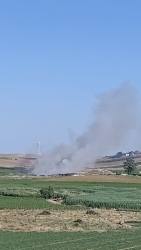 https://www.tp24.it/immagini_articoli/19-06-2026/trapani-incendio-sfiora-il-canile-di-contrada-cuddia-tranchida-possibile-origine-dolosa-250.jpg