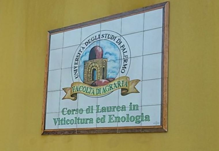 https://www.tp24.it/immagini_articoli/19-08-2026/1787125011-0-marsala-la-citta-che-vorrei-chiede-il-ritorno-del-corso-di-laurea-in-viticoltura-ed-enologia.jpg