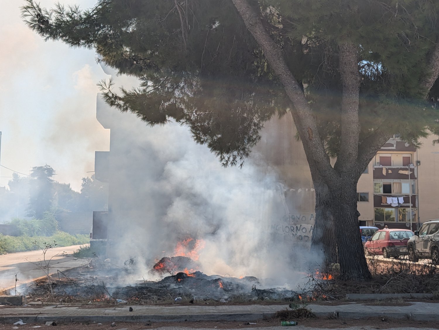 https://www.tp24.it/immagini_articoli/19-08-2026/1787134401-0-altro-incendio-ad-amabilina.jpg