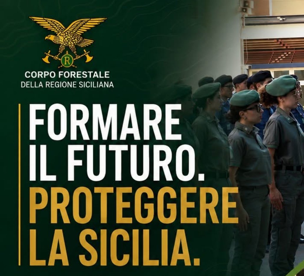 https://www.tp24.it/immagini_articoli/19-08-2026/1787148823-0-il-corpo-forestale-siciliano-si-arricchisce-di-94-nuovi-allievi-agenti.jpg