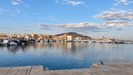 https://www.tp24.it/immagini_articoli/19-09-2026/trapani-il-pesce-locale-arriva-sul-web-nasce-il-mercato-digitale-del-pescato-250.jpg