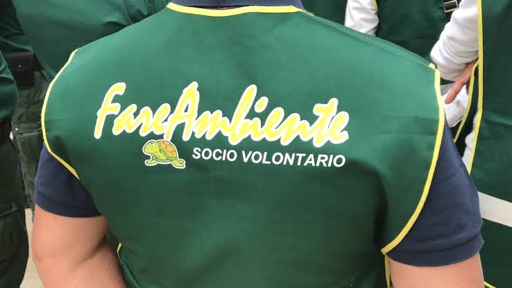 https://www.tp24.it/immagini_articoli/19-10-2026/1792400899-0-fare-ambiente-commissaria-il-coordinamento-regionale-sicilia.jpg