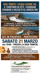 https://www.tp24.it/immagini_articoli/20-03-2026/domani-sit-in-alla-diga-trinita-agricoltori-in-mobilitazione-250.jpg