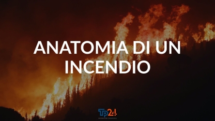 https://www.tp24.it/immagini_articoli/20-04-2026/la-sicilia-che-brucia-2-anatomia-di-un-incendio-il-rogo-di-bosco-scorace-250.jpg