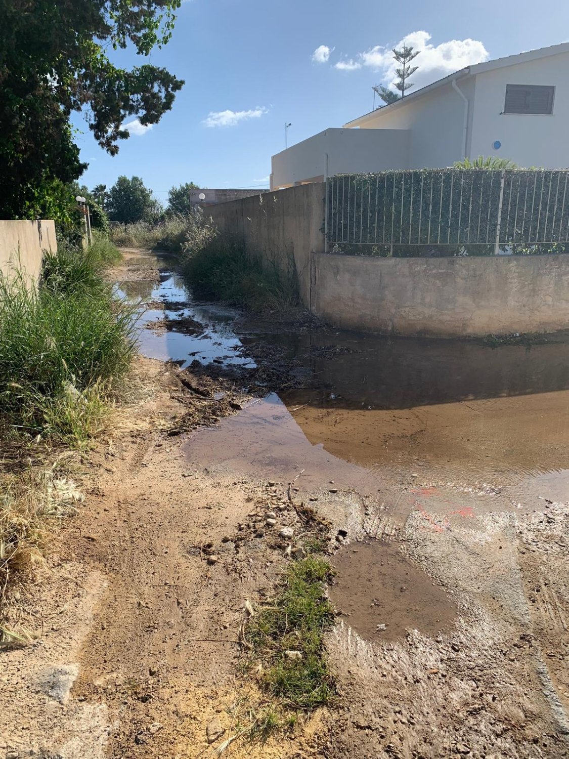 https://www.tp24.it/immagini_articoli/20-05-2026/1779263392-0-misiliscemi-da-mesi-c-e-una-perdita-d-acqua-in-via-san-pantaleo-a-marausa-lido.jpg
