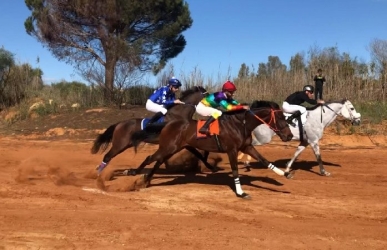 https://www.tp24.it/immagini_articoli/20-05-2026/l-ippodromo-fantasma-e-le-corse-clandestine-a-triscina-scattano-cinque-misure-cautelari-250.jpg