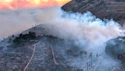 https://www.tp24.it/immagini_articoli/20-06-2026/montagna-grande-in-cenere-sindacati-e-m5s-attaccano-la-regione-prevenzione-inesistente-250.jpg