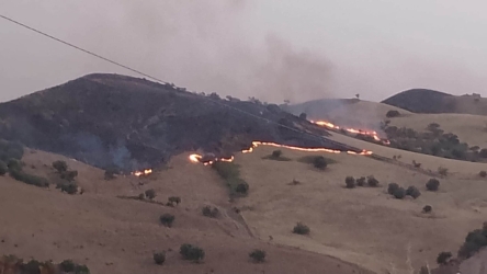 https://www.tp24.it/immagini_articoli/20-07-2026/incendi-in-sicilia-per-il-m5s-da-schifani-promesse-rimaste-solo-sulla-carta-250.jpg