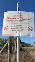 https://www.tp24.it/immagini_articoli/20-08-2026/marsala-mare-marrone-e-odore-di-fogna-alla-foce-del-birgi-mai-visto-nulla-del-genere-250.jpg