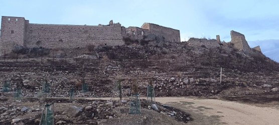 https://www.tp24.it/immagini_articoli/20-09-2026/alcamo-incendio-devasta-la-rocca-di-calatubo-bruciati-cipressi-e-impianti-del-castello-250.jpg