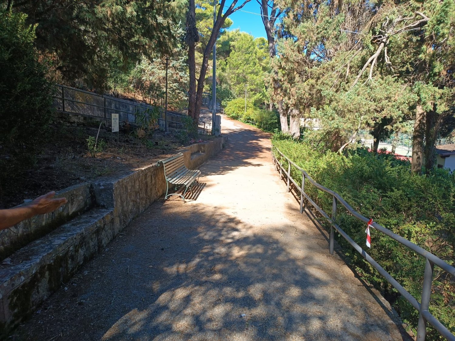 https://www.tp24.it/immagini_articoli/20-10-2026/1792505470-0-valderice-scontro-sulla-pineta-comunale-stabile-replica-attacchi-pretestuosi.jpg