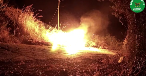 https://www.tp24.it/immagini_articoli/20-12-2025/incendi-in-sicilia-quattro-persone-denunciate-dal-corpo-forestale-della-regione-siciliana-250.png