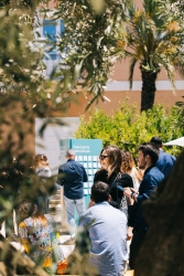 https://www.tp24.it/immagini_articoli/21-05-2026/un-insolita-domenica-donnafugata-rinnova-cantine-aperte-tra-vino-arte-e-convivialita-250.jpg
