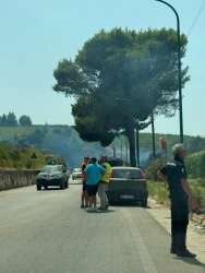 https://www.tp24.it/immagini_articoli/21-07-2026/incendio-all-ingresso-di-salemi-il-sindaco-scalisi-fiamme-domate-nessun-ferito-250.jpg