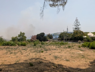 https://www.tp24.it/immagini_articoli/21-07-2026/vasto-incendio-a-salemi-ingresso-vietato-in-citta-dalla-statale-188-traffico-deviato-250.jpg