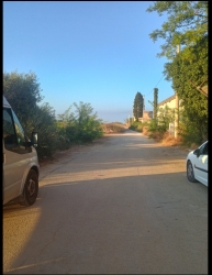 https://www.tp24.it/immagini_articoli/21-08-2026/marsala-la-strada-della-stazione-di-mozia-birgi-invasa-dalla-vegetazione-250.jpg